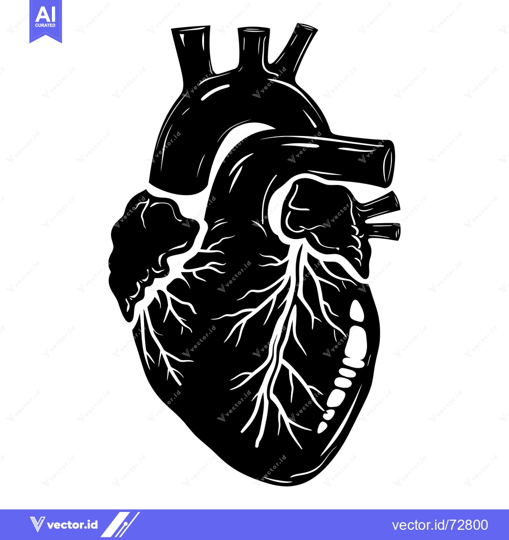 Premium Vector dari Black and White Detailed Illustration of a Human Heart