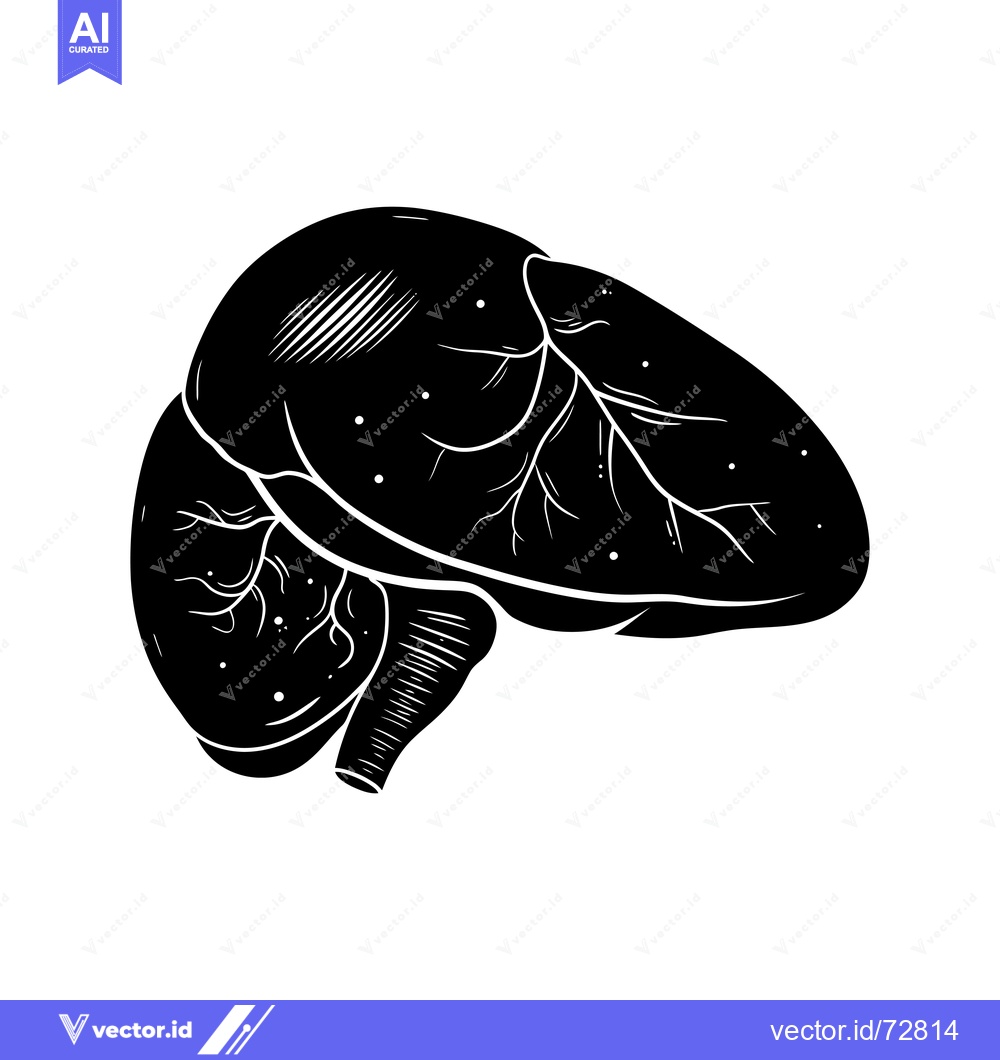 Premium Vector of Black and White Silhouette of a Human Liver