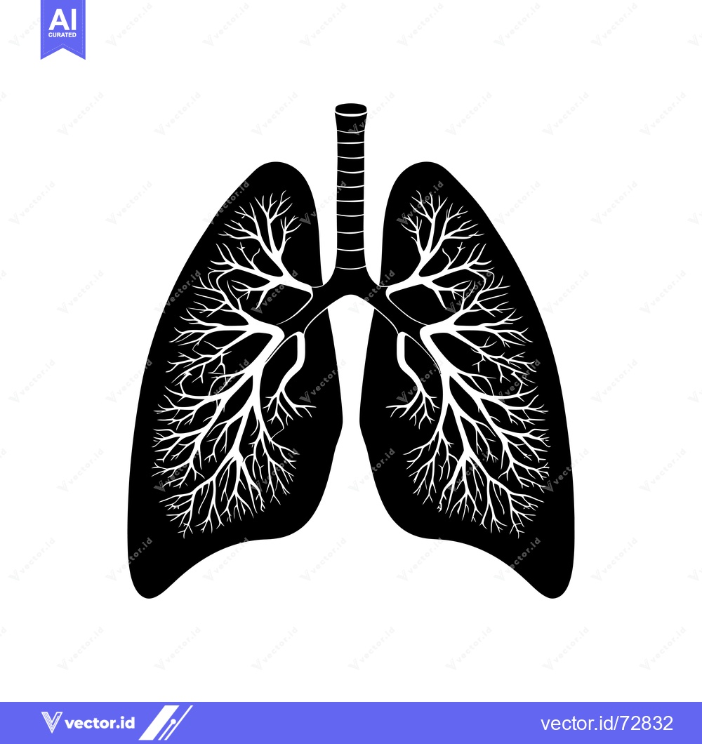Premium Vector of Black and White Silhouette of Human Lungs with Detailed Branching