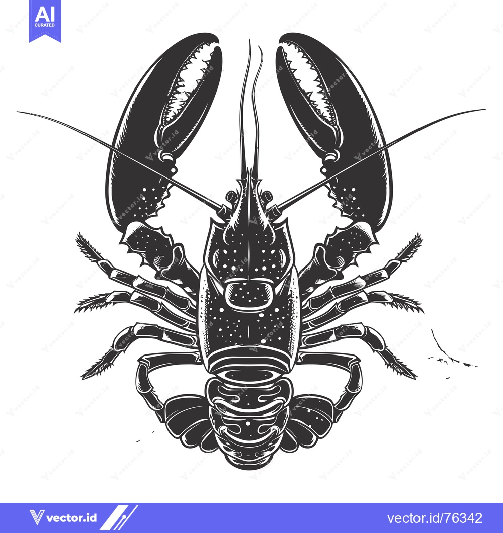 Premium Vector dari Black and White Illustration of a Lobster with Claws Extended