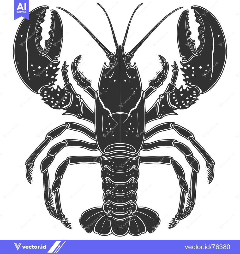 Premium Vector of Black and White Detailed Illustration of a Lobster