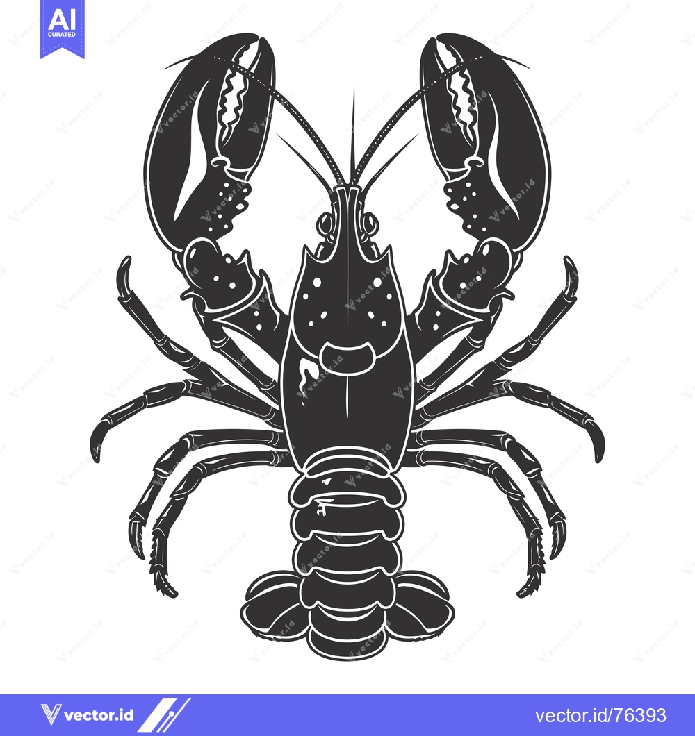 Premium Vector of Black and White Illustration of a Lobster with Claws Extended