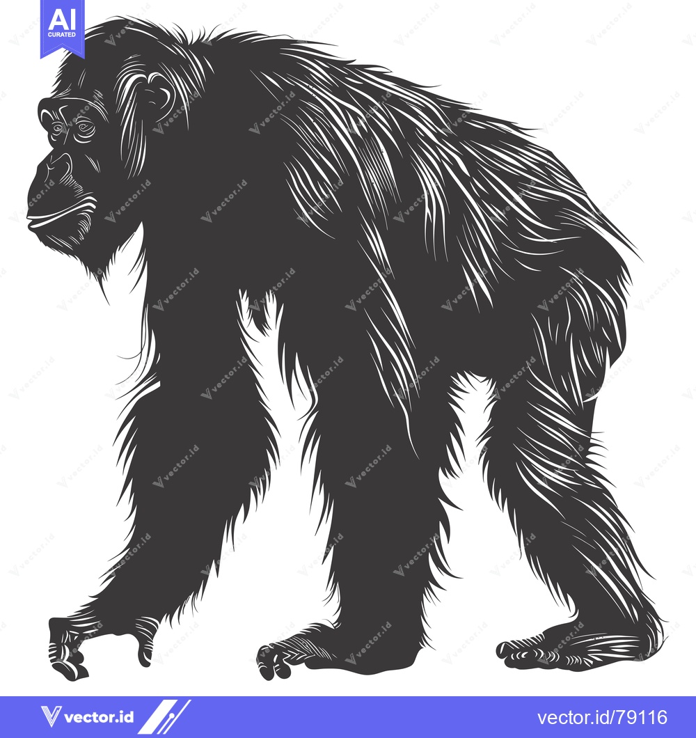 Premium Vector dari A Silhouetted Chimpanzee Walking With Fur Detail