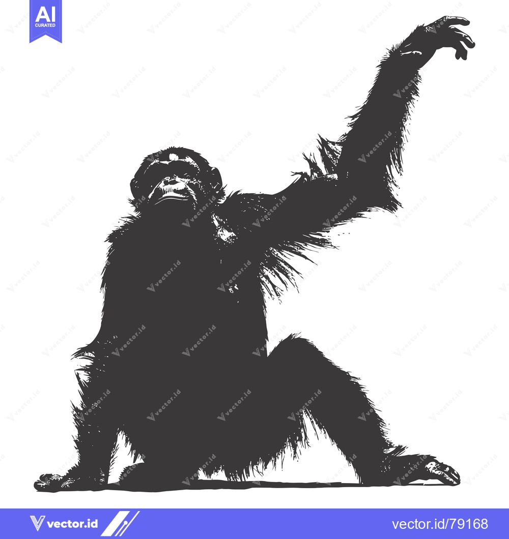 Premium Vector dari Black and White Silhouette of a Sitting Chimpanzee with One Arm Raised