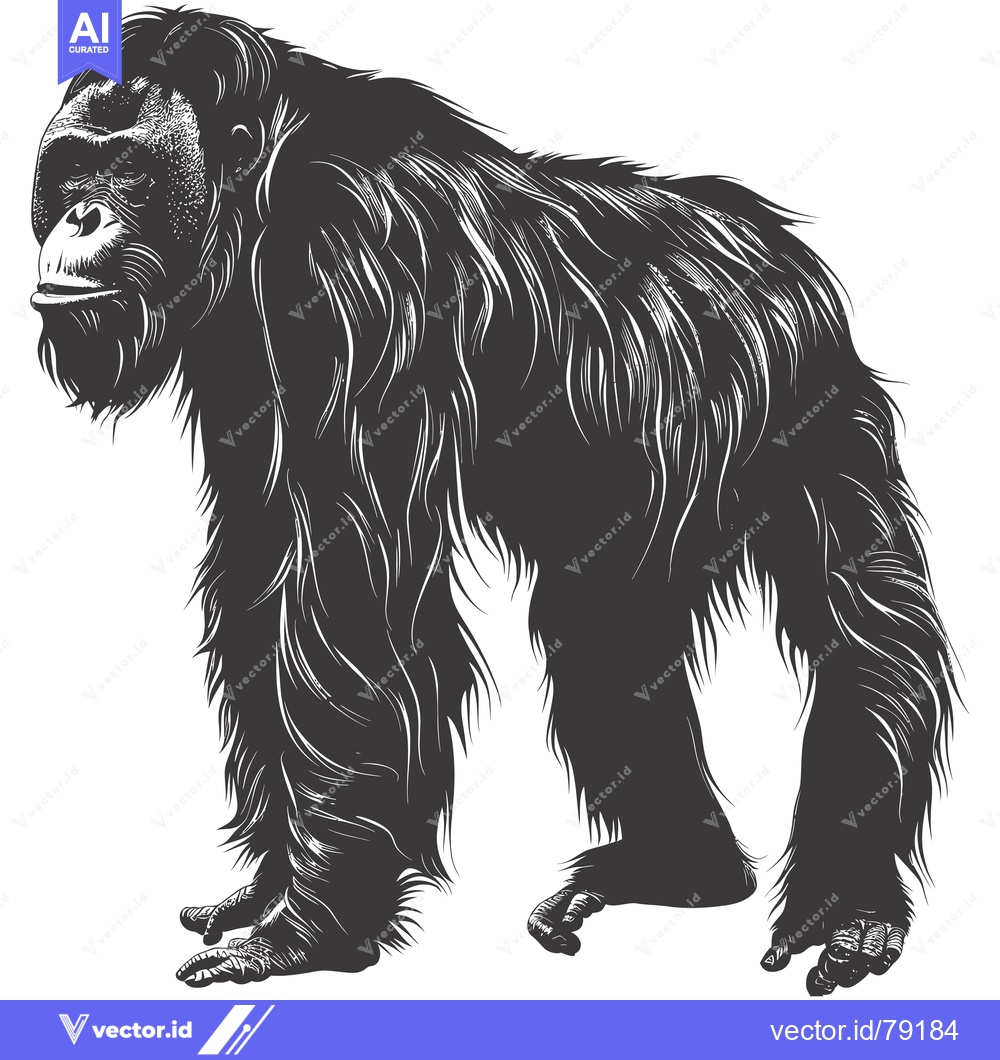 Premium Vector of A Silhouetted Illustration of a Furry, Standing Gorilla