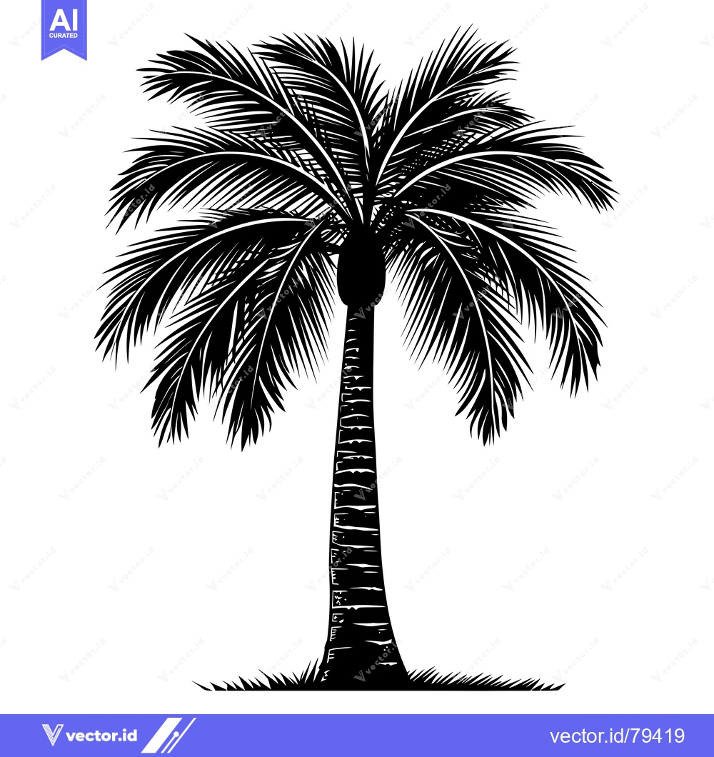 Premium Vector dari Black and White Silhouette of a Palm Tree with Fronds