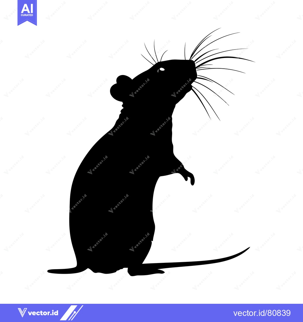 Premium Vector dari Black Silhouette of a Rat Standing on Hind Legs with Long Whiskers