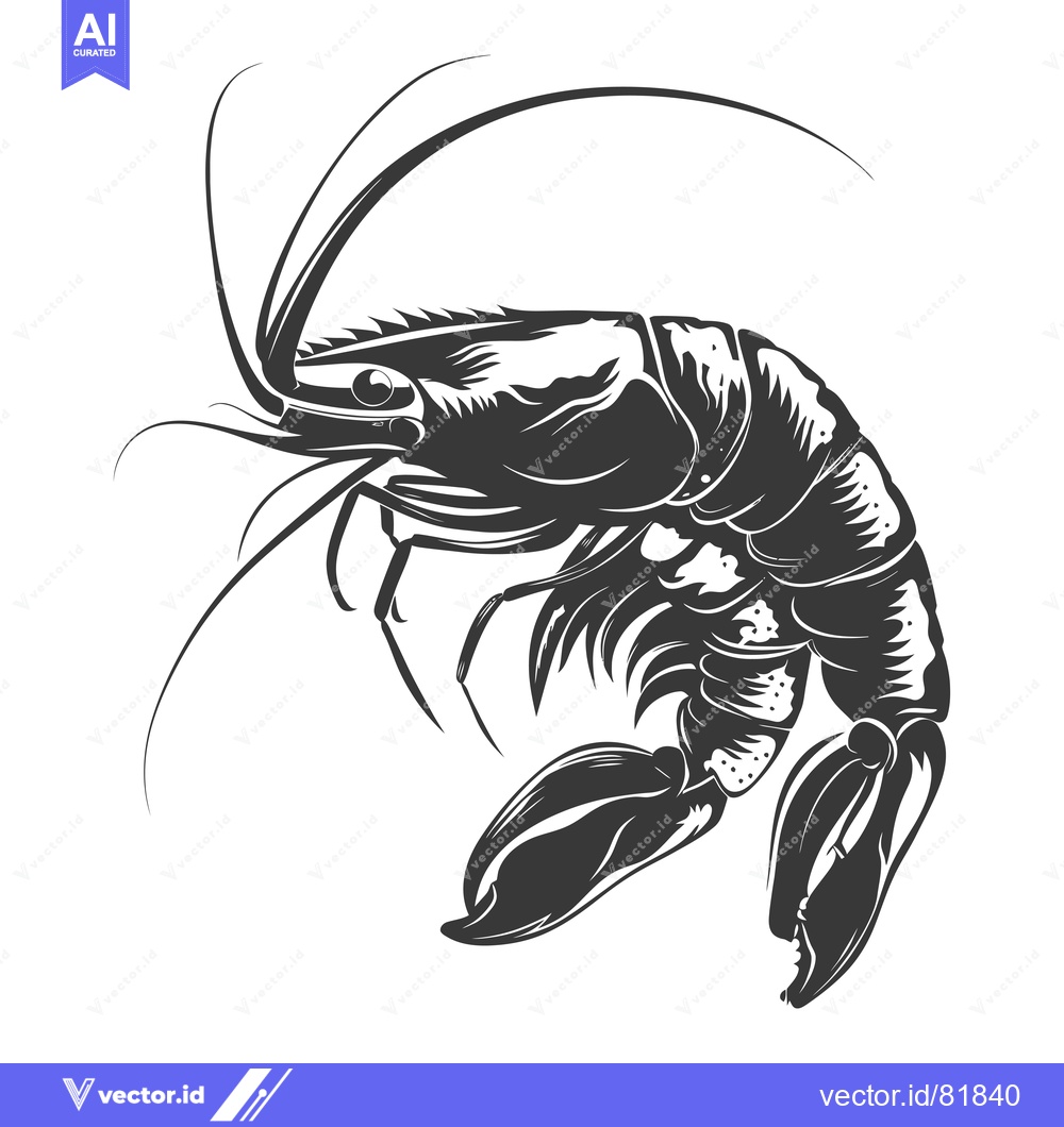 Premium Vector of Black and white illustration of a shrimp with curled tail