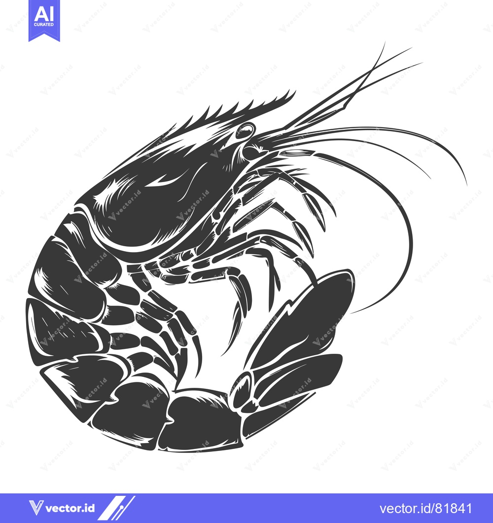 Premium Vector of Black and White Illustration of a Shrimp in a Curled Position