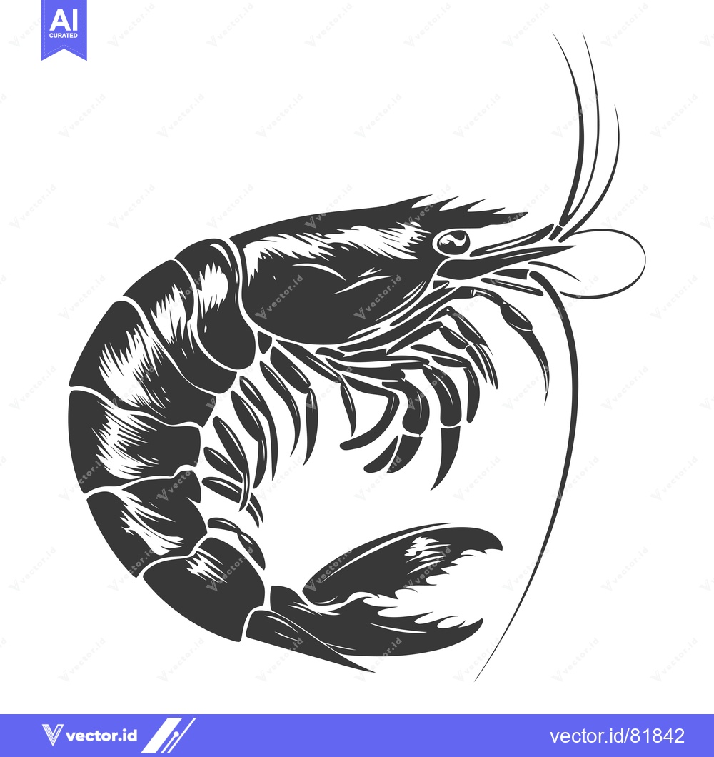 Premium Vector of Black and White Illustration of a Shrimp