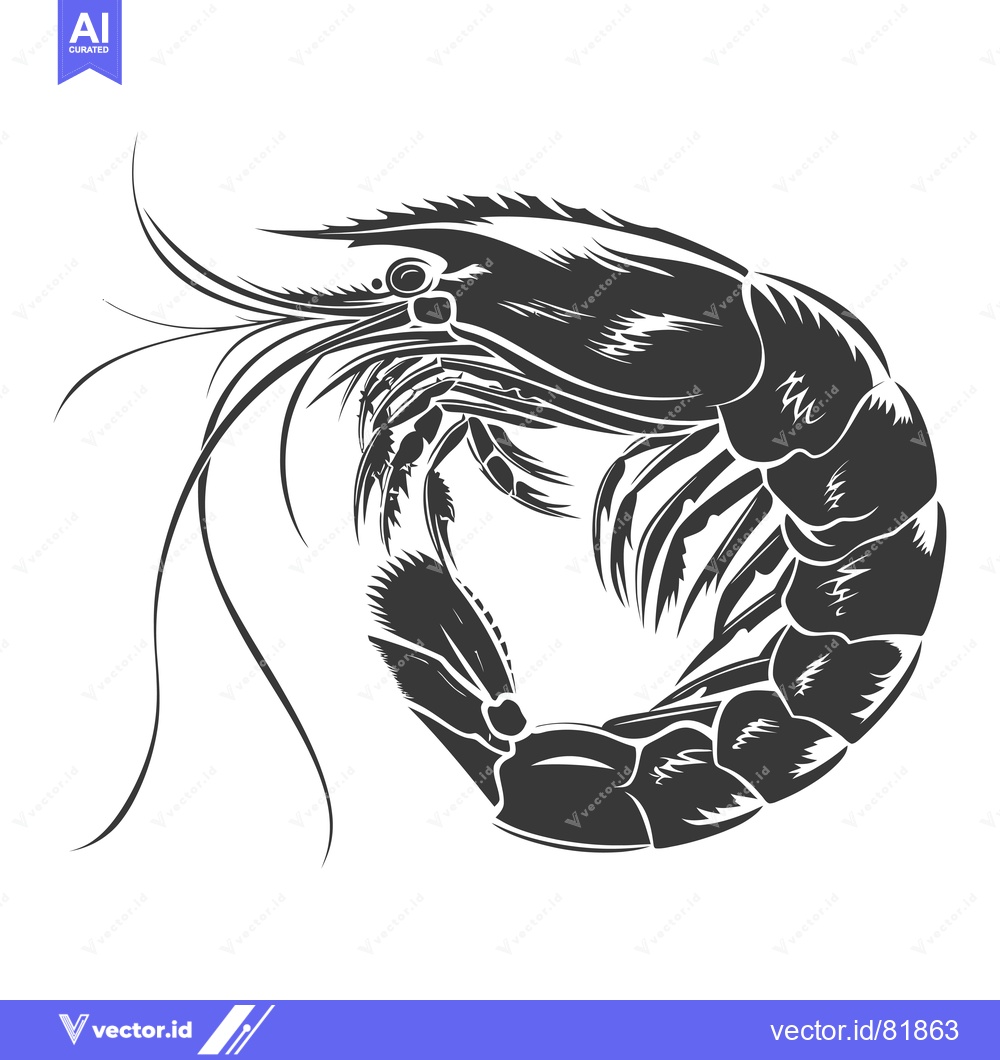 Premium Vector dari Black and White Stylized Illustration of a Shrimp