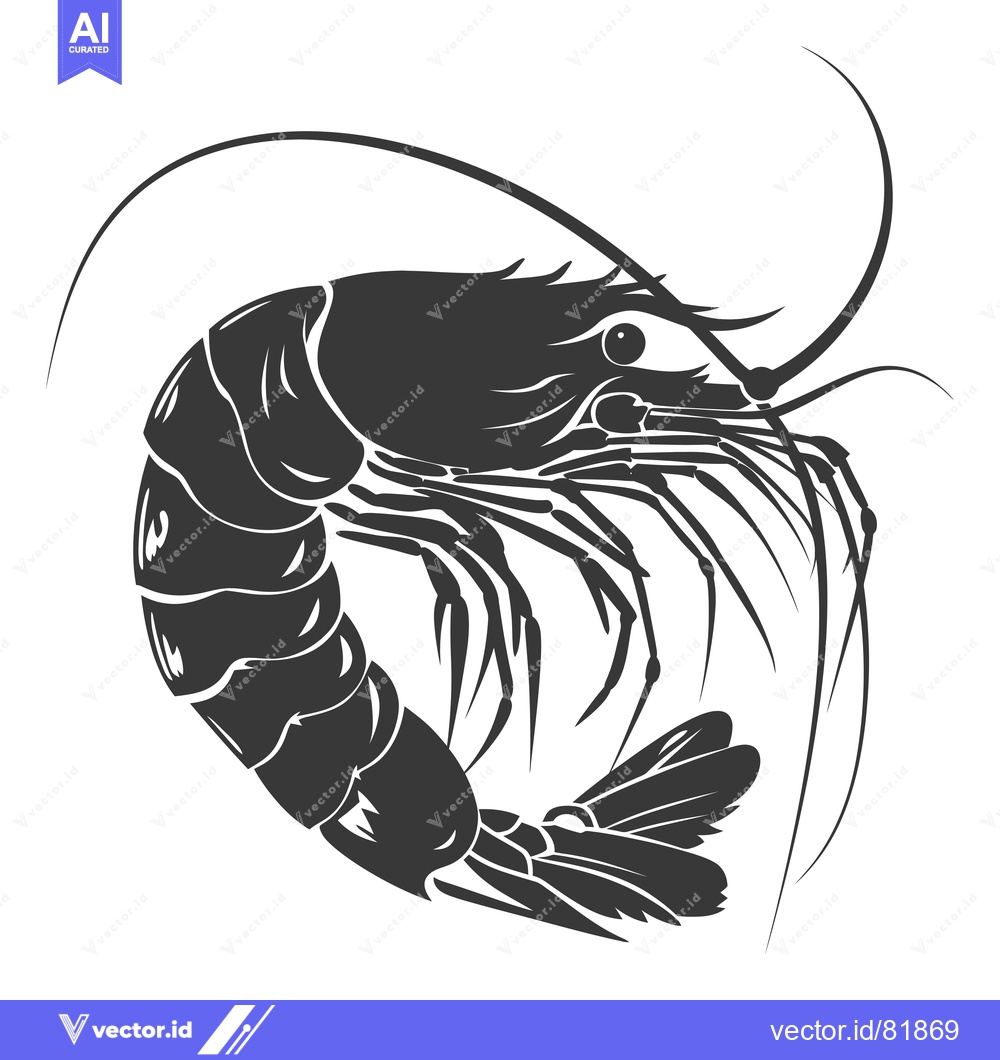 Premium Vector dari Black and white illustration of a shrimp curled up