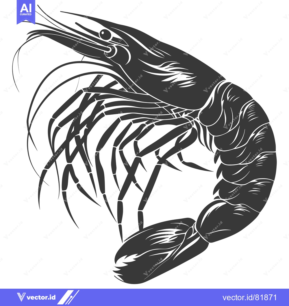 Premium Vector of Black and White Illustration of a Single Shrimp