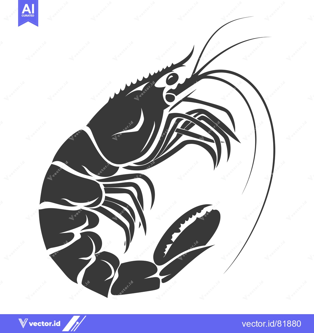 Premium Vector of Black and White Stylized Illustration of a Shrimp