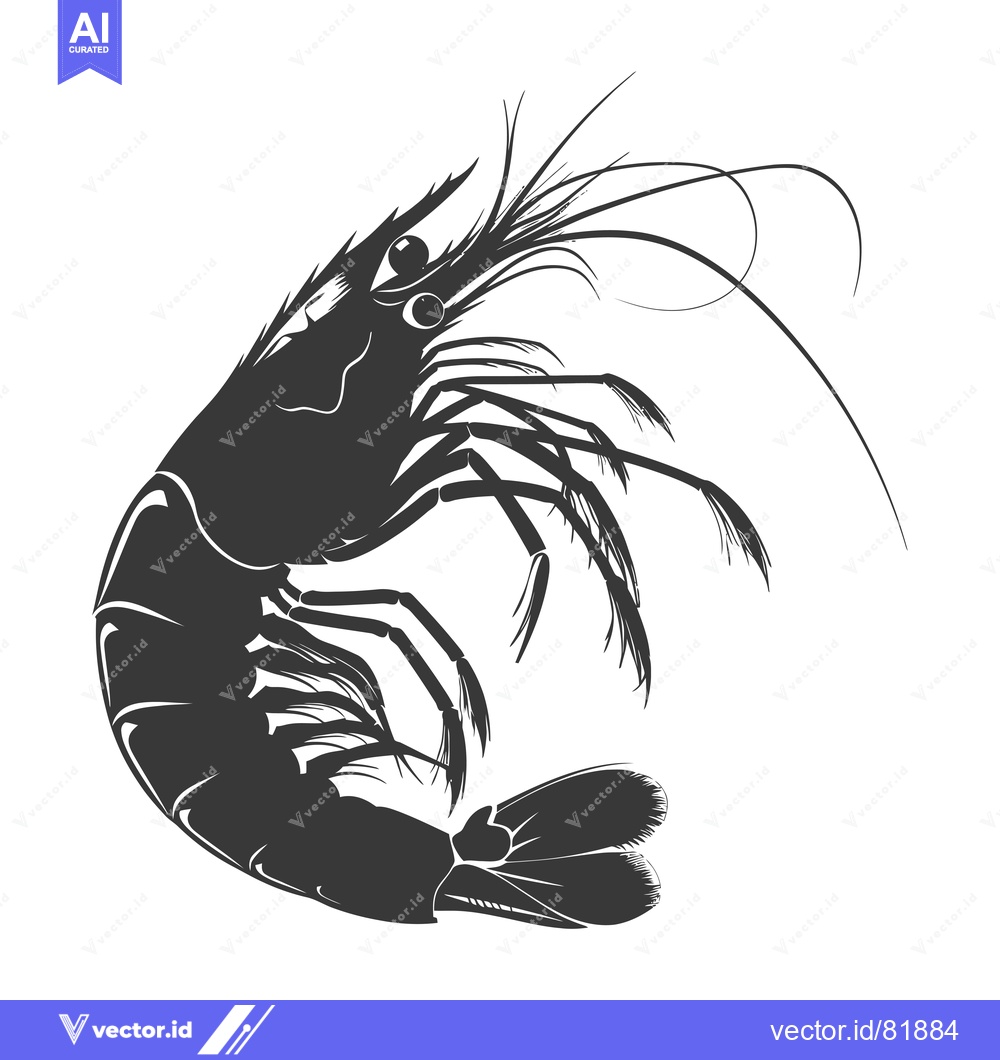 Premium Vector of Black and White Silhouette of a Shrimp Curled in a Circle