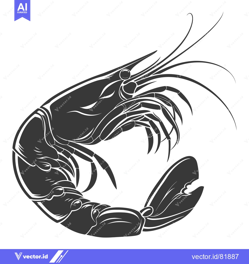 Premium Vector of Black and White Illustration of a Shrimp in a Curled Position