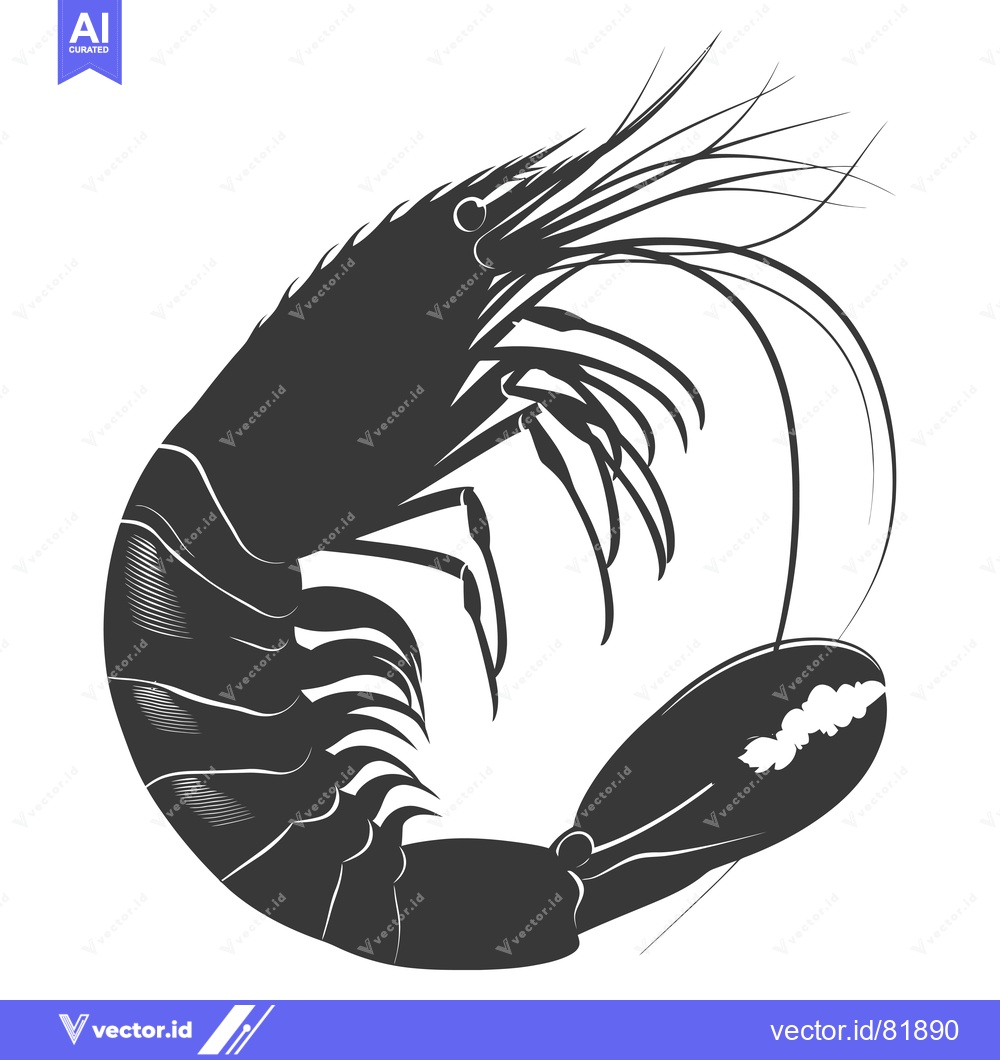 Premium Vector of A Black and White Illustration of a Shrimp Curled Up