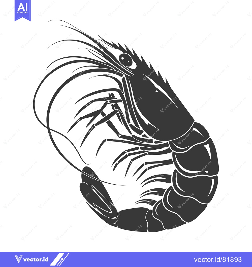 Premium Vector dari A Detailed Black and White Illustration of a Shrimp