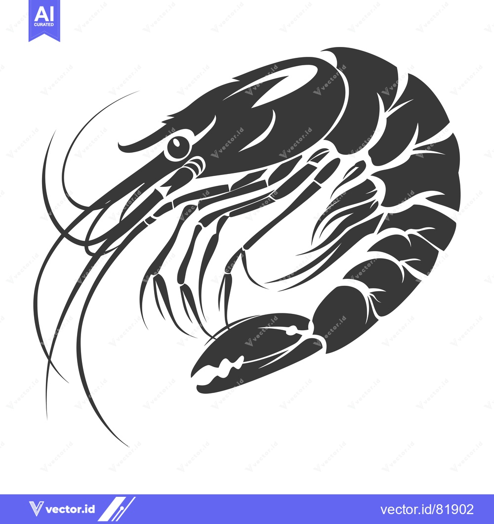 Premium Vector of Black and White Illustration of a Shrimp
