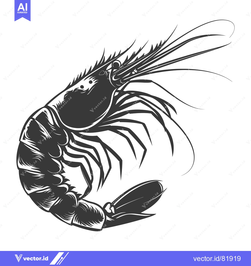 Premium Vector dari Black and White Illustration of a Shrimp