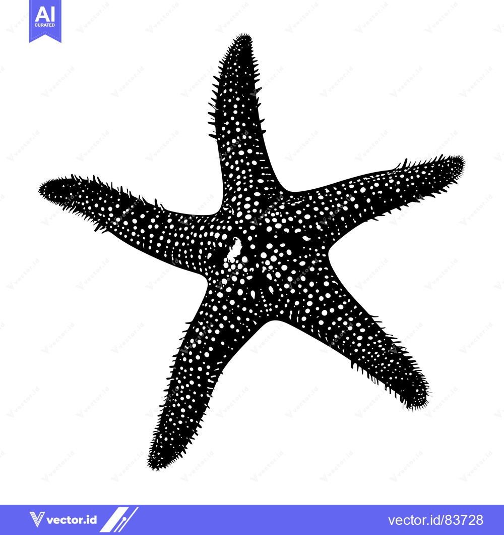 Premium Vector dari Black and White Silhouette of a Starfish with Spines
