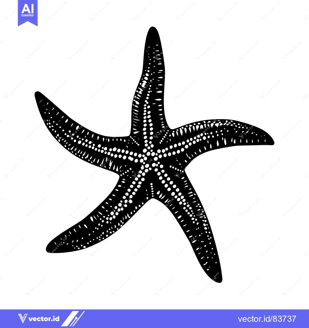 Premium Vector of Black and White Illustration of a Starfish