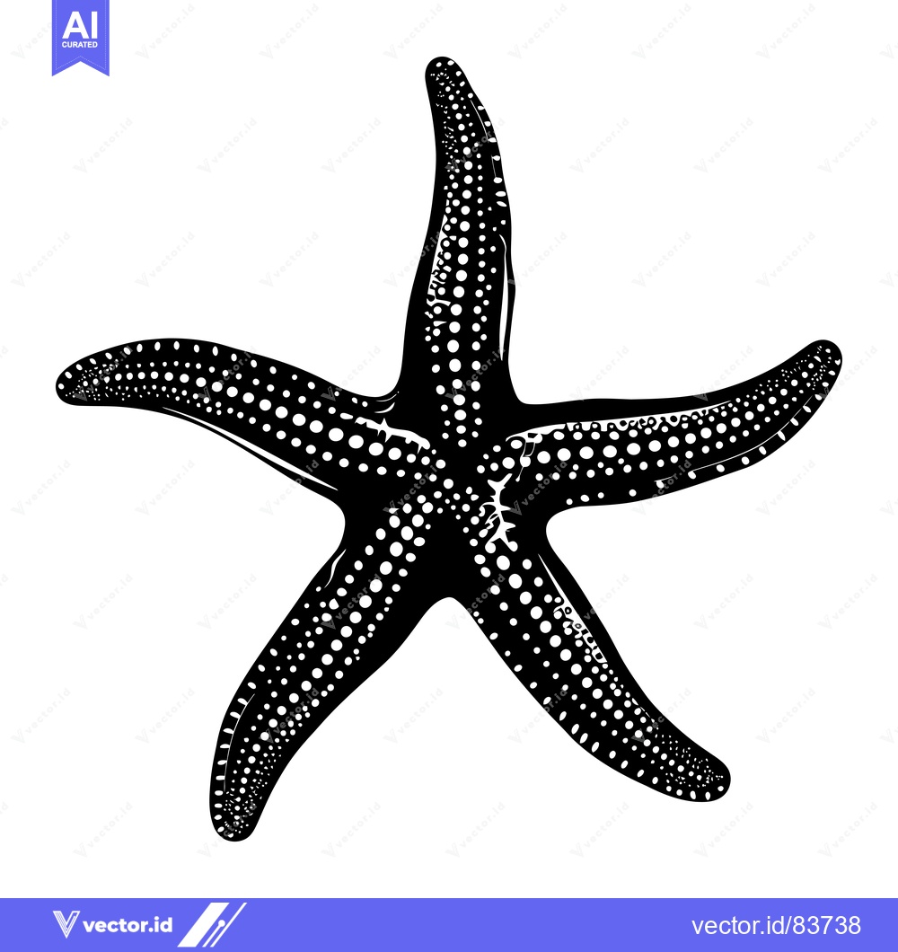 Premium Vector of Black and White Starfish with White Dots