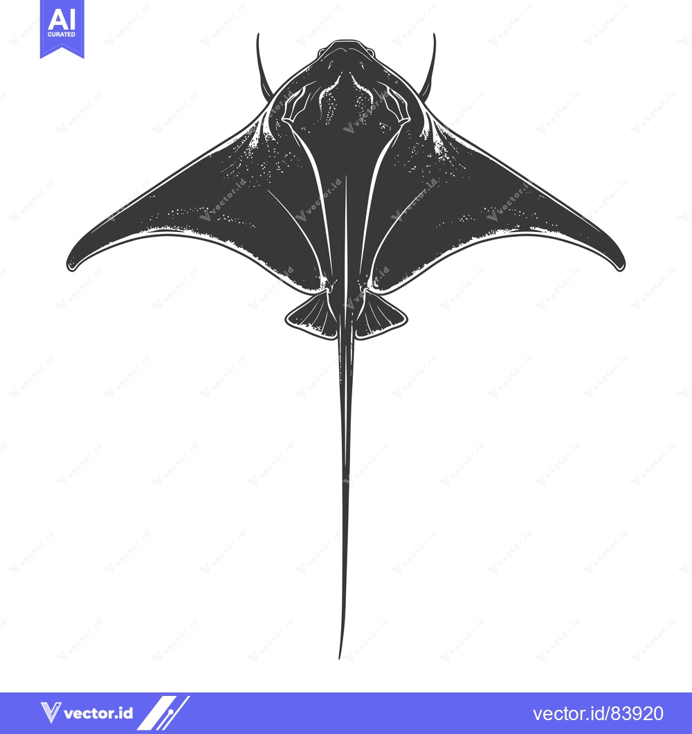 Premium Vector of Black and White Illustration of a Manta Ray from Above
