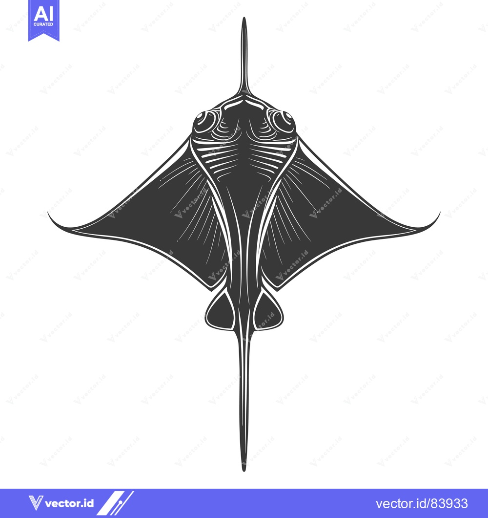 Premium Vector of Black and White Detailed Illustration of a Stingray