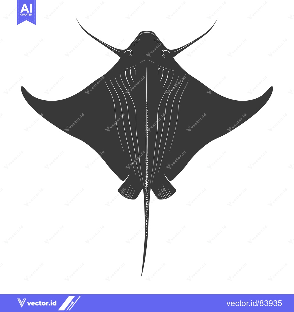 Premium Vector of Black and white illustration of a manta ray viewed from below