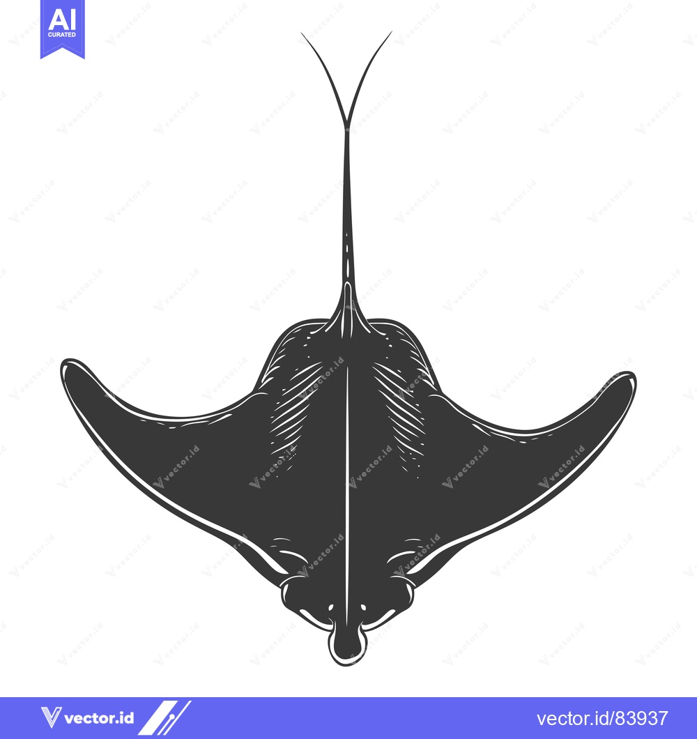 Premium Vector of A Black and White Illustration of a Manta Ray from Above