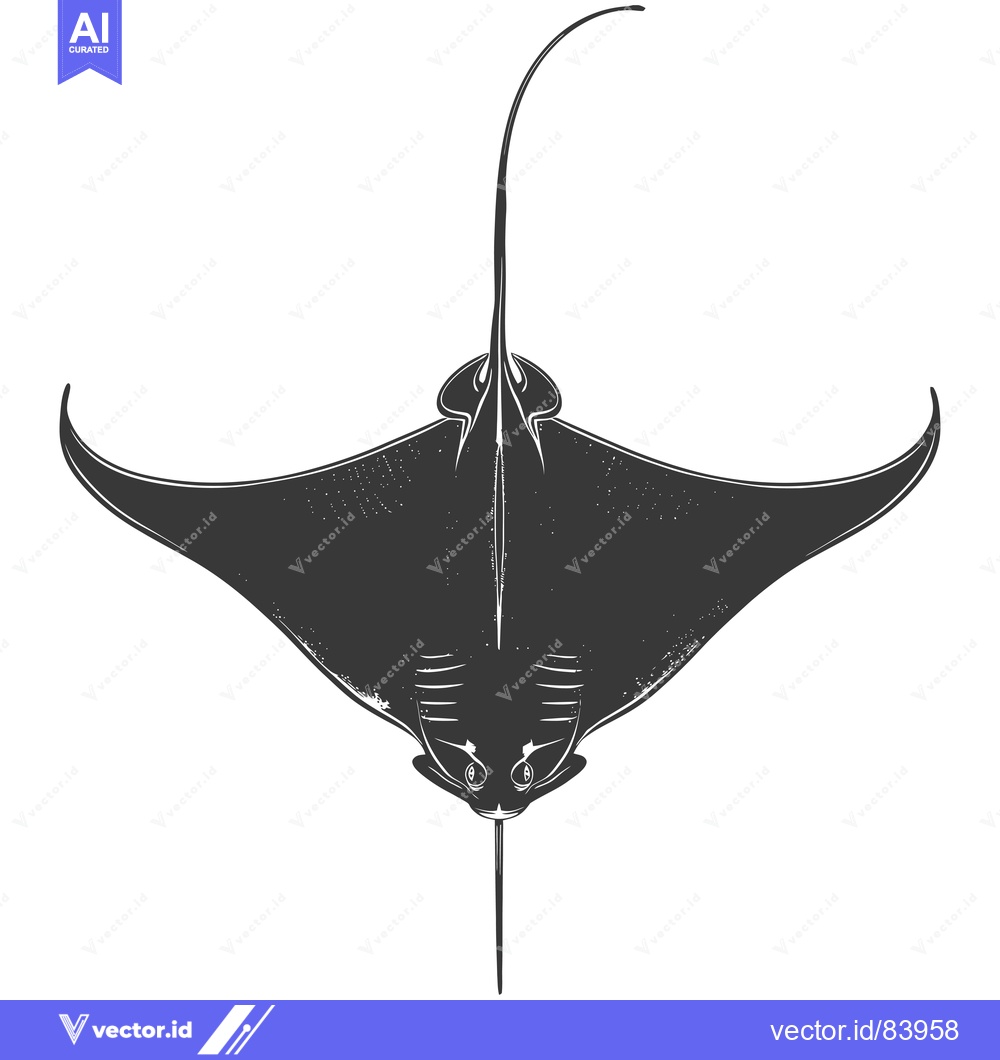 Premium Vector of Black and White Illustration of a Manta Ray from Above