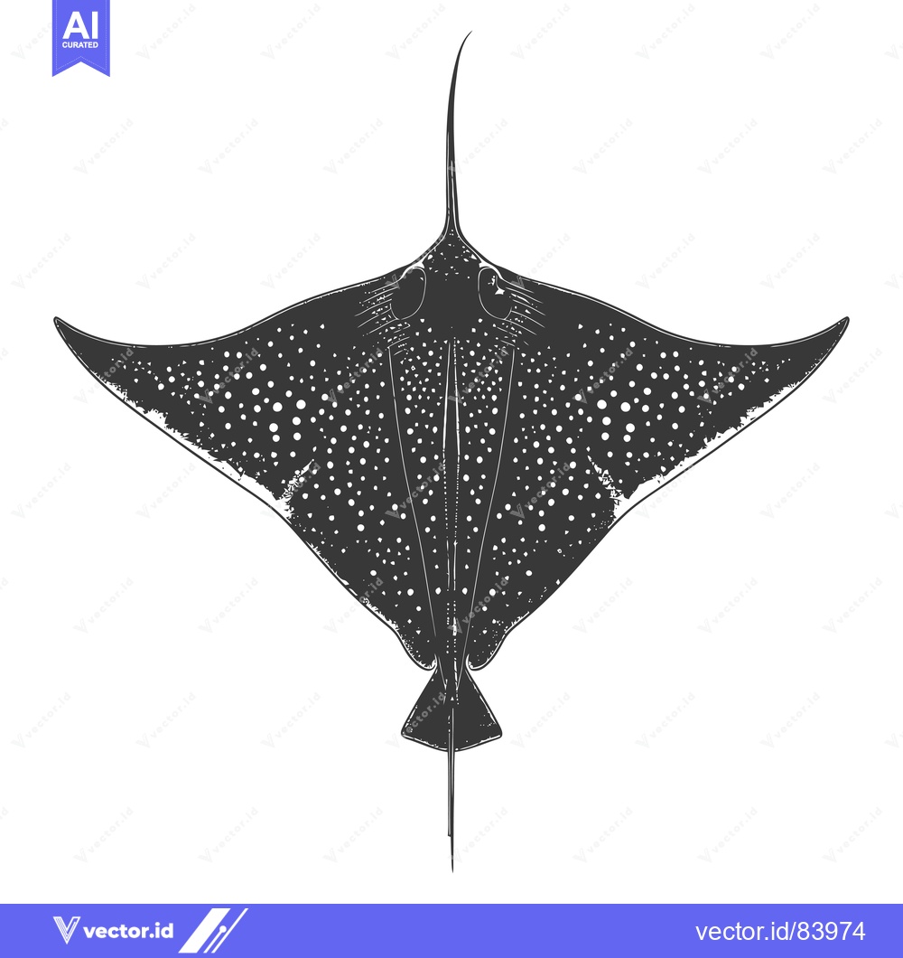 Premium Vector of Black and white illustration of a spotted ray
