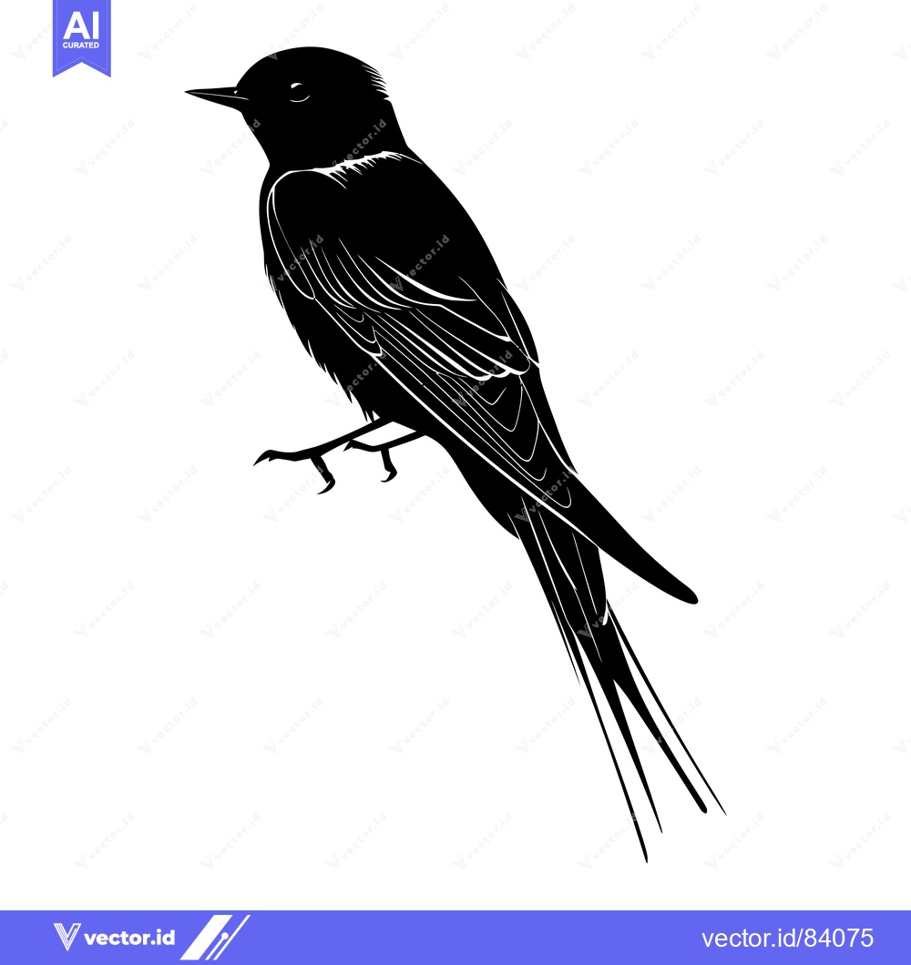 Premium Vector of Black Silhouette of a Bird with Long Tail Feathers