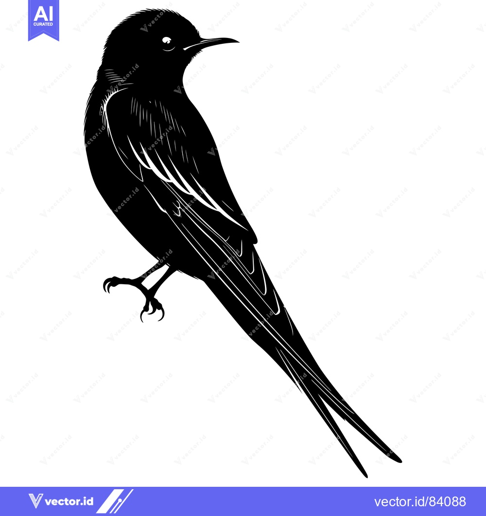 Premium Vector dari Black and White Silhouette of a Bird with Spread Tail Feathers