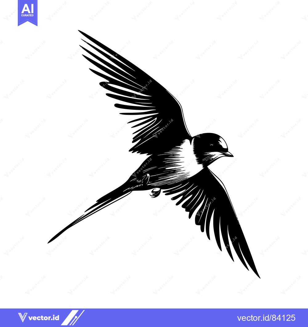 Premium Vector dari Black and White Line Art Illustration of a Swallow Bird in Flight