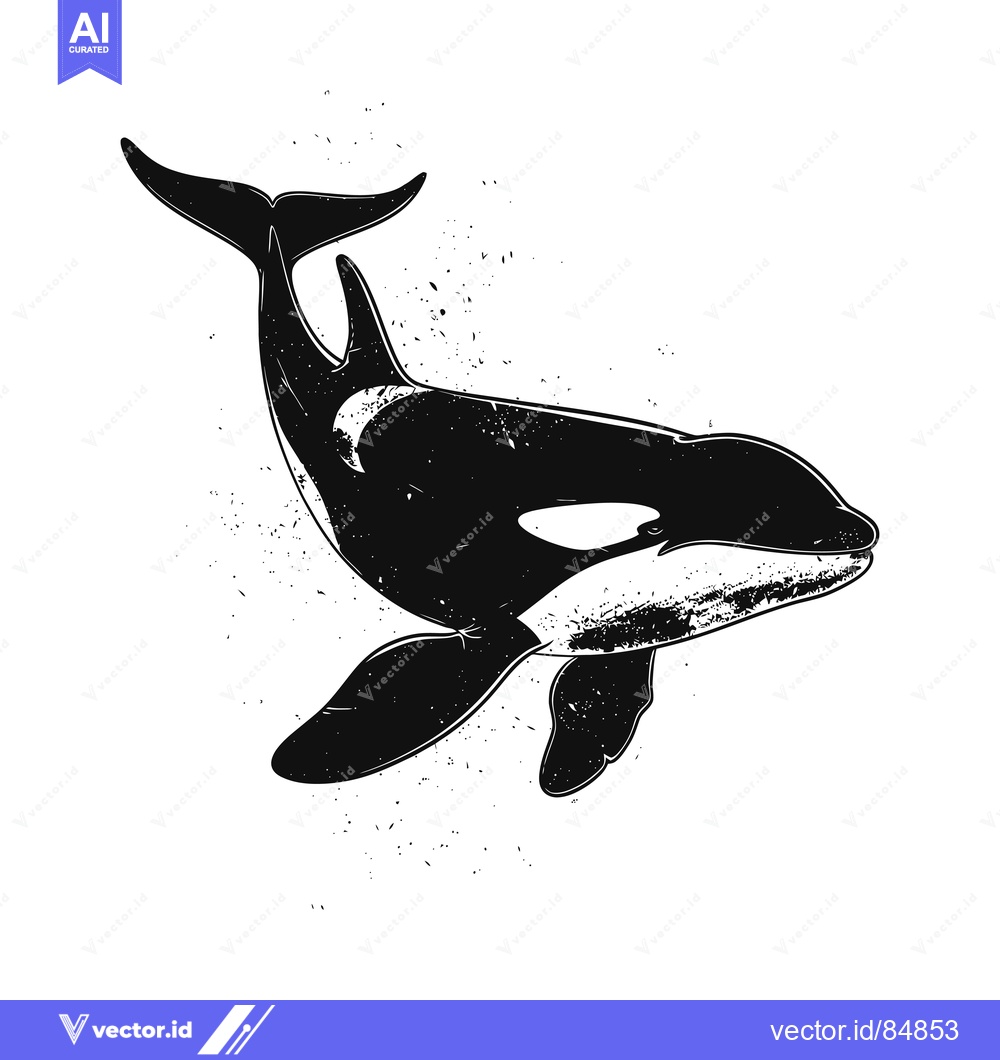 Premium Vector dari Black and White Grunge Style Orca Illustration