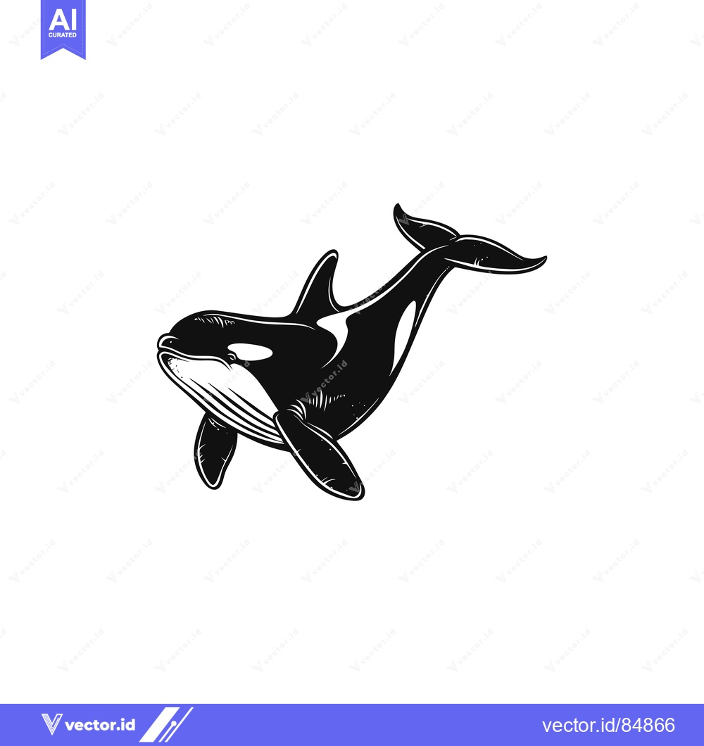 Premium Vector of Black and White Illustration of an Orca Whale