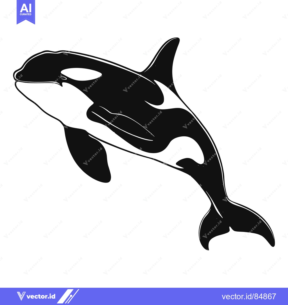 Premium Vector dari A Black and White Illustration of an Orca Whale Jumping