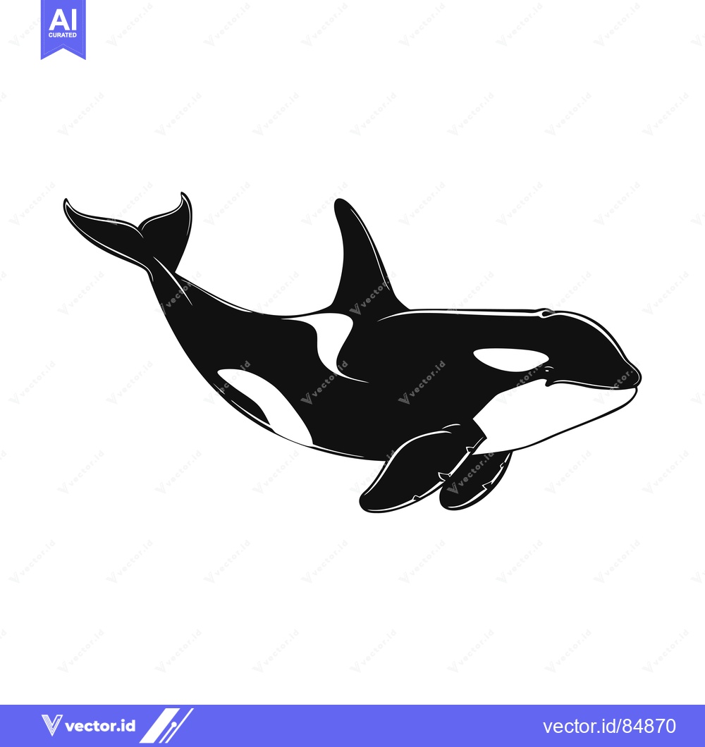 Premium Vector of Black and White Silhouette of a Killer Whale Swimming