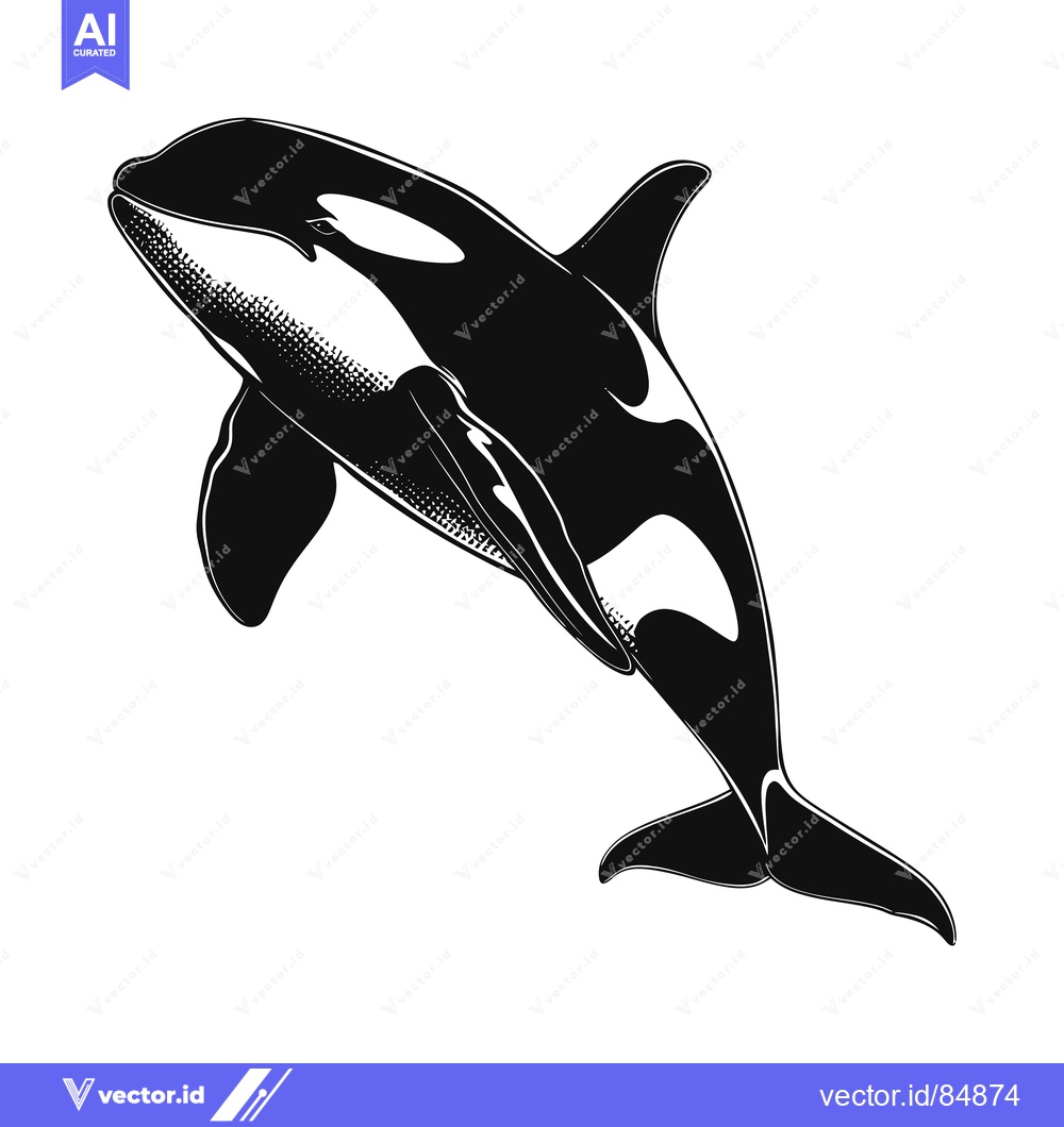 Premium Vector of A Black and White Illustration of an Orca Jumping Out of the Water