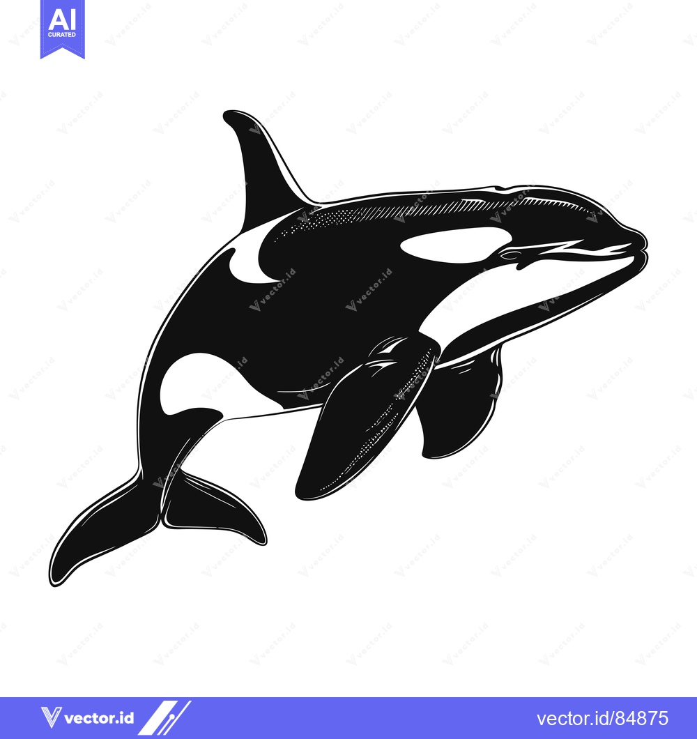 Premium Vector dari Black and White Illustration of an Orca Whale