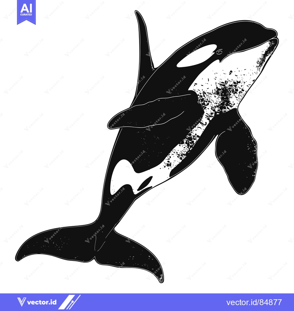 Premium Vector of A Black and White Illustration of an Orca with a Grunge Texture