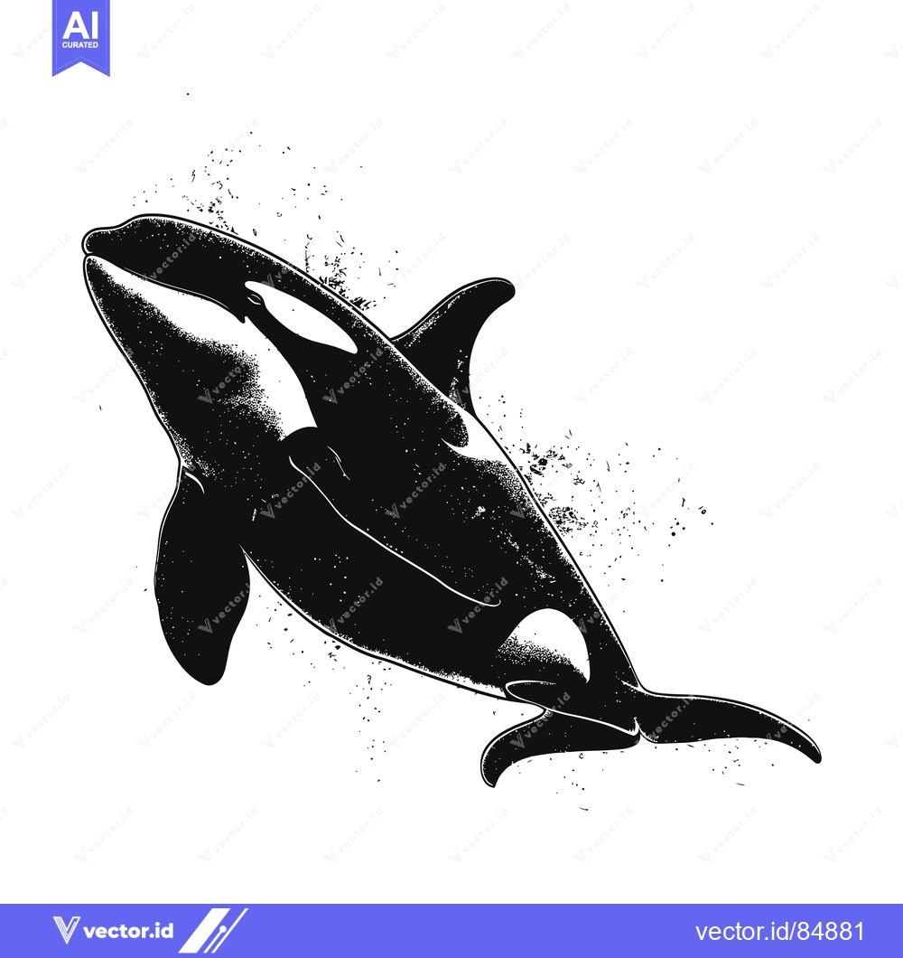 Premium Vector dari Black and White Illustration of an Orca Jumping Out of the Water
