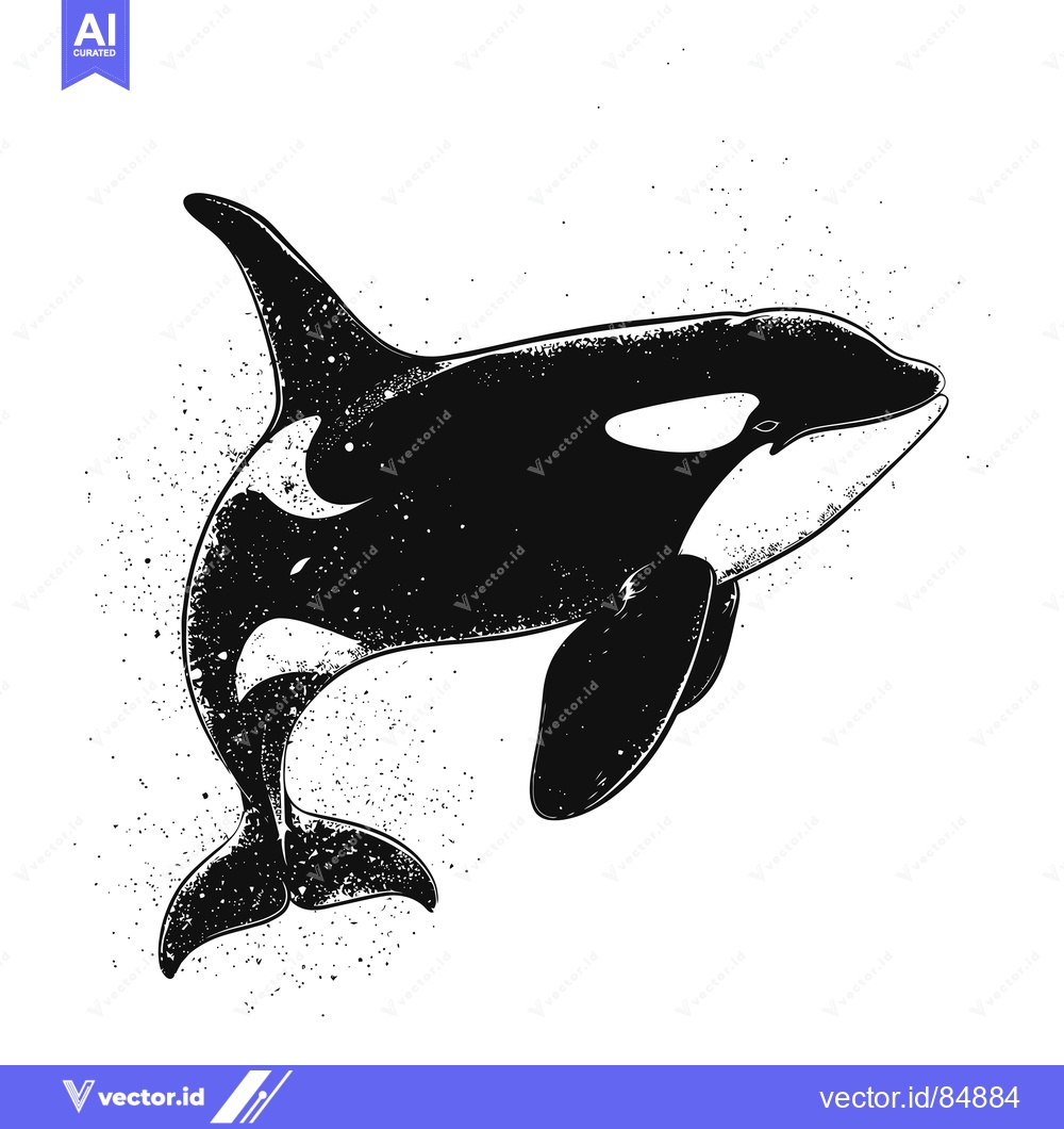 Premium Vector of Black and White Illustration of an Orca with a Grunge Effect