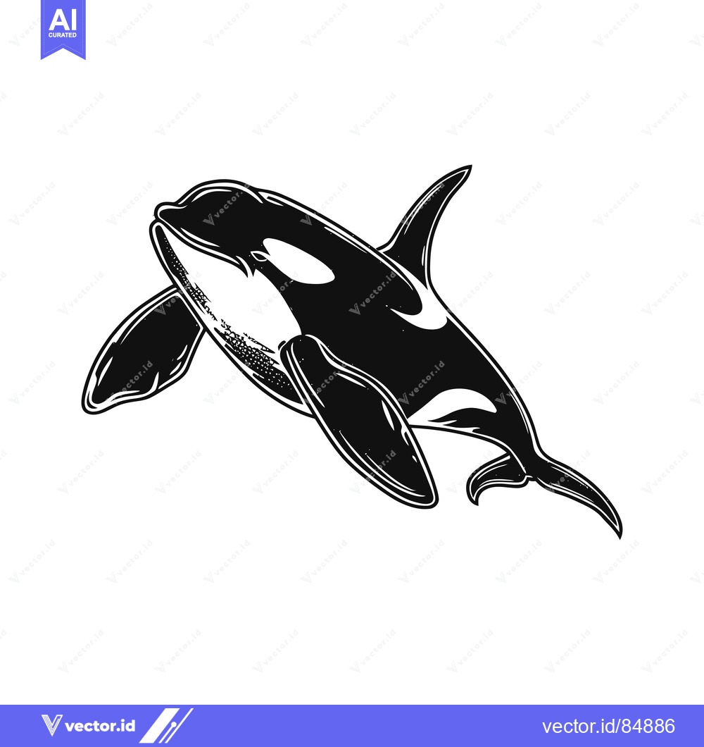 Premium Vector of Black and White Illustration of a Killer Whale Swimming