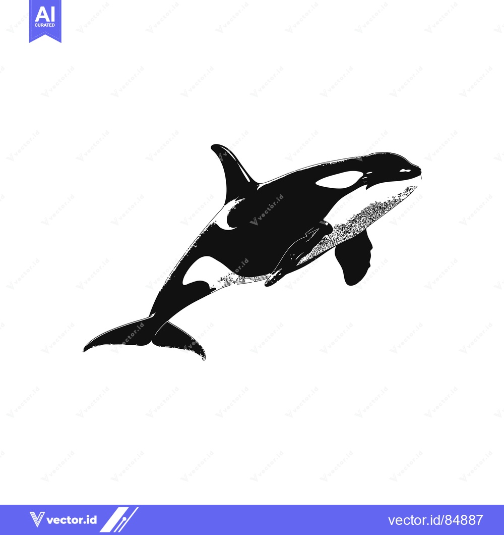 Premium Vector of A black and white silhouette of an orca, leaping out of the water, in