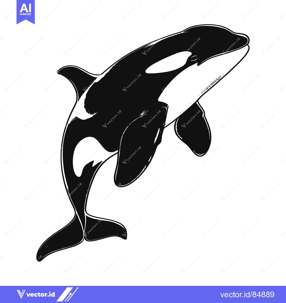 Premium Vector of Black and White Illustration of an Orca Jumping Out of the Water