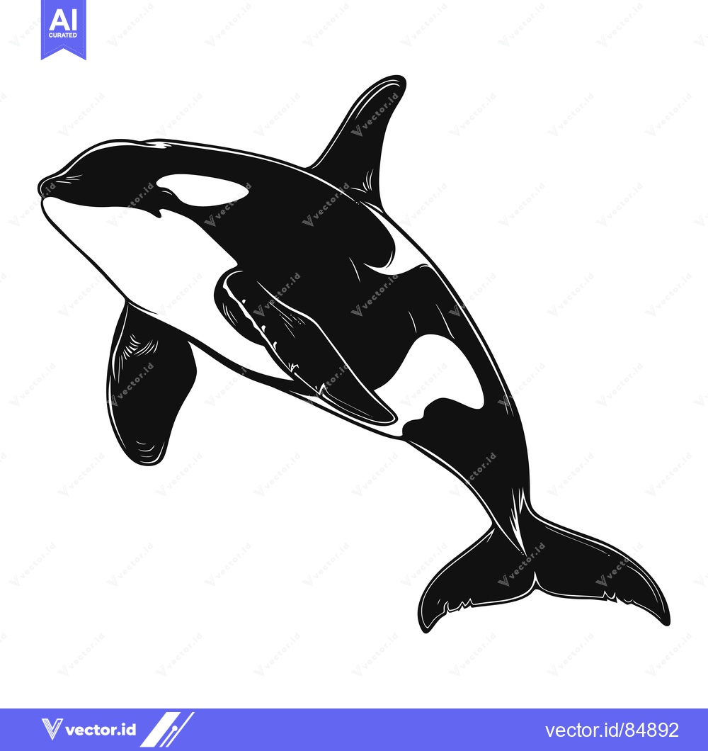 Premium Vector dari Black and White Illustration of a Killer Whale Jumping Out of the Wate