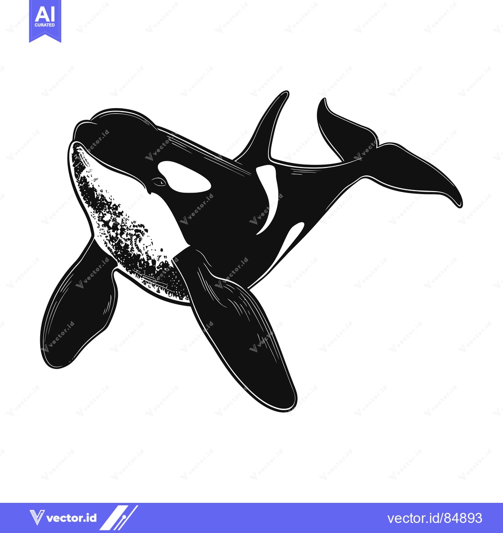Premium Vector dari Black and white illustration of an orca whale